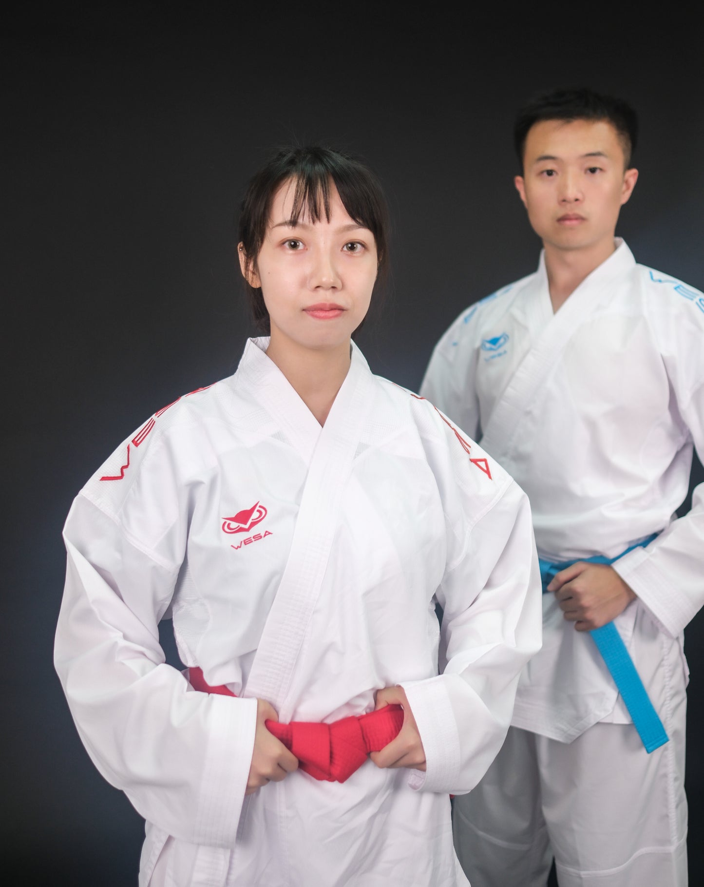 Wesa WG1 Fighter for Kumite