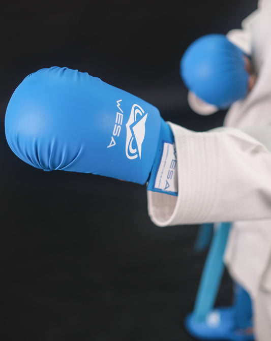 Guantes de boxeo Wesa Karate