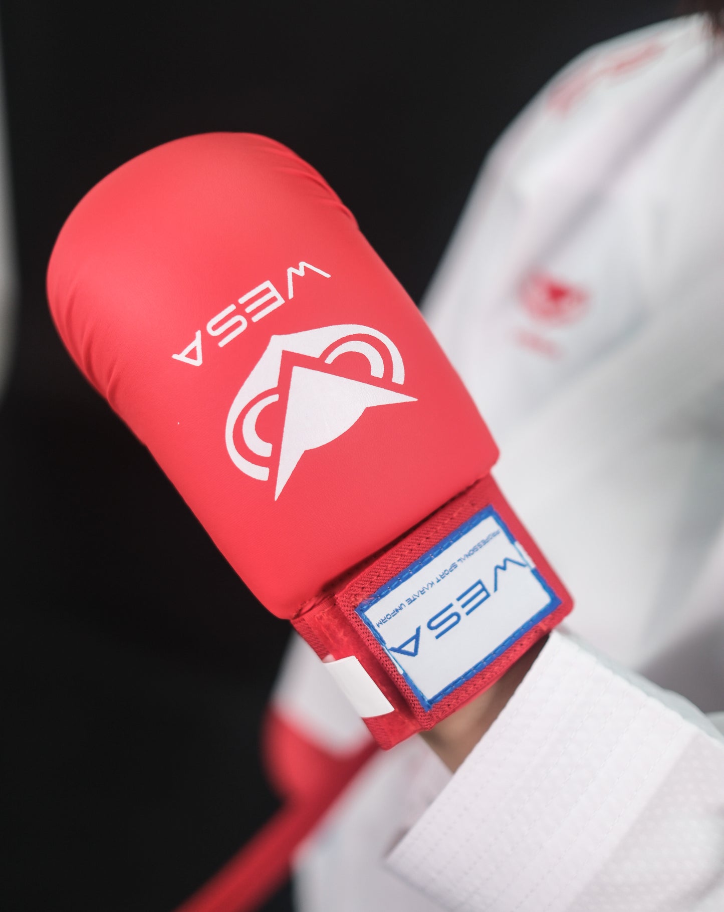 Guantes de boxeo Wesa Karate